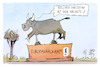 Cartoon: Europawahlkampf (small) by Kostas Koufogiorgos tagged karikatur,koufogiorgos,europawahl,wahlkampf,stier,europa