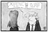 Cartoon: Melania Trump (small) by Kostas Koufogiorgos tagged karikatur,koufogiorgos,illustration,cartoon,melania,trump,flotus,schuhe,high,heels,frisur,usa,mode