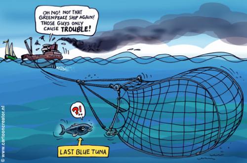 Cartoon: Last blue Tuna (medium) by illustrator tagged fish,boat,blue,tuna,empty,sea,fishery,endagered,depleting,entleerung,fischerei,gefährdet,thunfisch,schiff,blau,cartoon,comic,welleman,,artensterben,aussterben,tiere,fisch,fischen,fischfang,umwelt,überfischung,ozean,tunfisch,greenpeace,rettung,hilfe,netz,jagd,essen,nahrung,lebensmittel,moral,natur