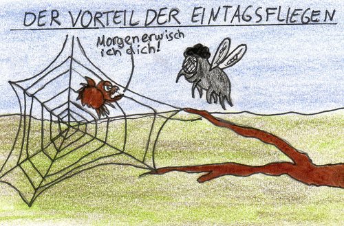 Cartoon: Eintagsfliegen (medium) by Salatdressing tagged eintagsfliege,vorteil,insekten,fliegen,spinne,netzt,spinnennetz,natur,ein,dumm,aufregung,wütend