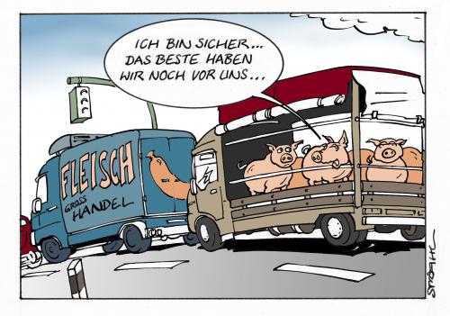 Schwein gehabt