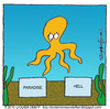 Cartoon: Octopus Paul Dead (small) by CIGDEM DEMIR tagged octopus,paul,cigdem,demir,2010,animal,paradise,hell