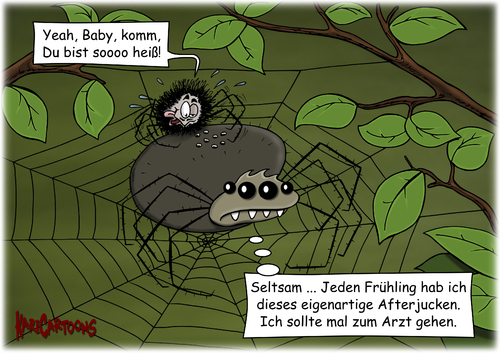 Cartoon: Afterjucken (medium) by karicartoons tagged jucken,afterjucken,männchen,netz,paarung,sensibel,spinne,spinnenmännchen,spinnennetz,unsensibel,tiere,insekten,jucken,afterjucken,männchen,netz,paarung,sensibel,spinne,spinnenmännchen,spinnennetz,unsensibel,tiere,insekten