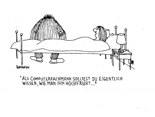Cartoon: PC-Fachmann (medium) by Frank Hoffmann tagged no,tag,