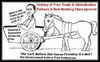 Cartoon: Cart before Horse global economy (small) by ray-tapajna tagged economic,crisis,obama,roosevelt,derpression,recession
