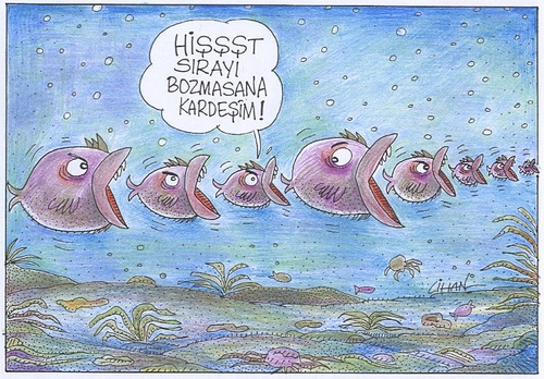 Cartoon: SIRAYI BOZMA (medium) by cihandemirci tagged balik,sira,deniz,cihan,demirci,karikatur