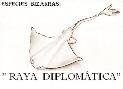 Cartoon: RAYA DIPLOMATICA (medium) by QUIM tagged raya,,illustration,rochen,tier,bizarr,diplomatisch,diplomatie,meerestier,meer,hand,schwanz,art,spezien,spezie