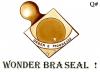 Cartoon: WONDER BRA SEAL (small) by QUIM tagged brasil,wonderbra,seal,planet,breast