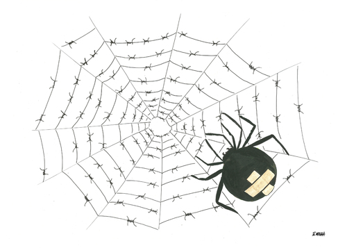 Cartoon: spider (medium) by emraharikan tagged spider