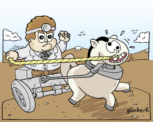 Cartoon: Crazy Dentist (medium) by gunberk tagged dentist,doctor,horse