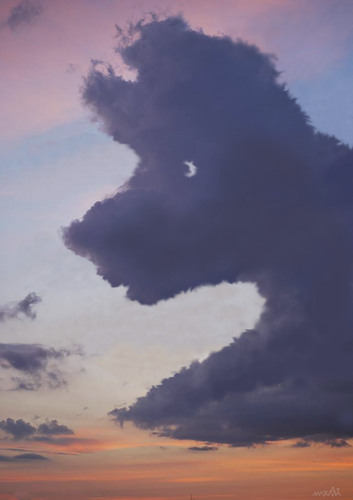Cartoon: animals sky (medium) by Medi Belortaja tagged animals,sky,dog,clouds