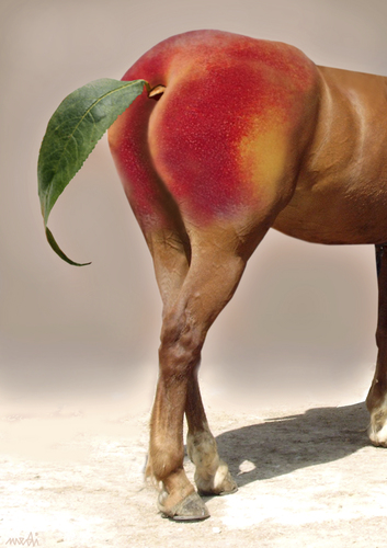 Cartoon: horsepeach (medium) by Medi Belortaja tagged peach,fruit,ass,horse