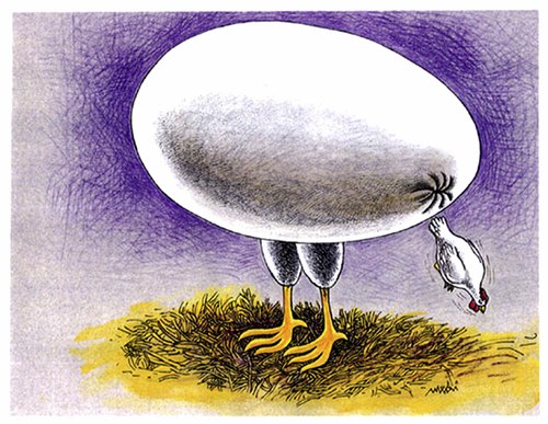 Cartoon: the egg born chicken (medium) by Medi Belortaja tagged bird,chicken,born,birth,egg