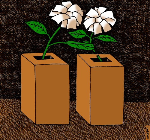 Cartoon: winner of elections (medium) by Medi Belortaja tagged democracy,flower,vote,manipulations,elections