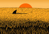 Cartoon: a sea of wheat (small) by Medi Belortaja tagged sea,field,sunshine,wheat,shark,danger,paradox,humor