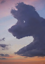 Cartoon: animals sky (small) by Medi Belortaja tagged animals,sky,dog,clouds