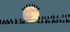 Cartoon: birds and moon (small) by Medi Belortaja tagged birds,moon,night