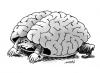 Cartoon: brain tortoise (small) by Medi Belortaja tagged brain,tortoise,turtle,slowly,think,mind,shell,man,thought,intelligence