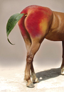 Cartoon: horsepeach (small) by Medi Belortaja tagged horse,ass,fruit,peach