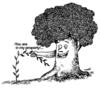 Cartoon: master tree (small) by Medi Belortaja tagged master tree trees sapling violence property