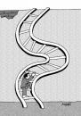Cartoon: climbing stairs (small) by Medi Belortaja tagged climbing stairs dodge wall ladder