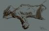 Cartoon: Model in Recline (small) by halltoons tagged digital,drawing,figure,woman,girl,pose