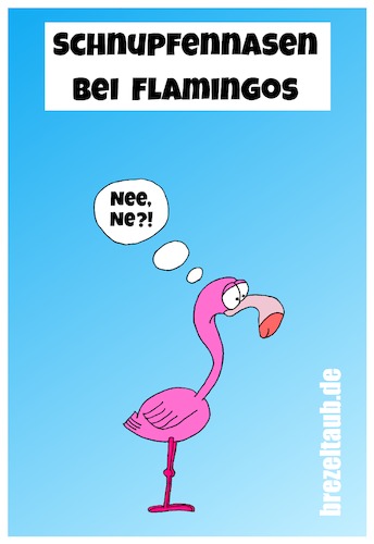 Cartoon: Schnupfennasen bei Flamingos (medium) by brezeltaub tagged schnupfen,nase,schnupfennase,flamingos,erkältung,husten,rote,brezeltaub,grippe,fieber,rotznase