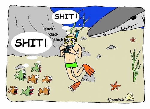 Cartoon: Shit happens! (medium) by brezeltaub tagged taucher,hai,shit,gesetz,law,murphys,camera,fish,attack,shark,haiangriff,egypt,brezeltaub,tigerhai,ägypten,australien,australia,great,white,weisser
