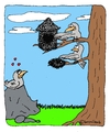 Cartoon: Balzgehabe (small) by brezeltaub tagged balz,vögel,liebe,geschenk,nest,angebetete,herz,schmerz,valentinstag,verliebt,verliebte