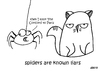 Cartoon: One Cats Thoughts (small) by DebsLeigh tagged cat cartoon feline pet spider liars thoughts kitty
