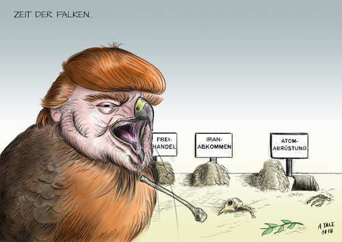 Falke Trump