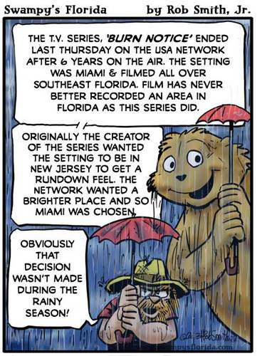 Cartoon: Swampys Florida - Burn Notice (medium) by RobSmithJr tagged florida,webcomic,comic,cartoon,history,burn,notice,televsion,tv