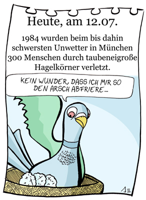 Cartoon: 12. Juli (medium) by chronicartoons tagged unwetter,hagel,taube,cartoon