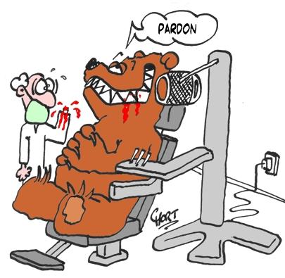 Cartoon: Pardon (medium) by mart tagged dentist,bear,blood,pardon,sorry,mart,