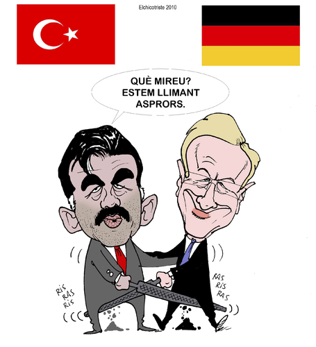 Cartoon: FILING DOWN ROUGH (medium) by ELCHICOTRISTE tagged wulff,güll,turkey,germany,turkei,deutschland