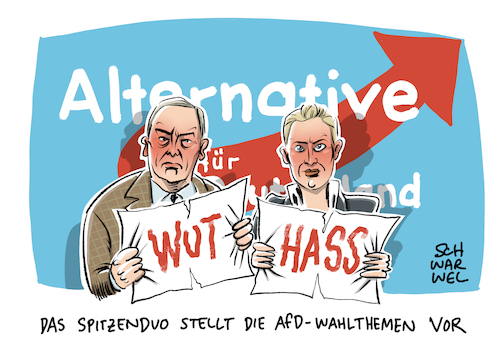 AfD Wahlprogramm