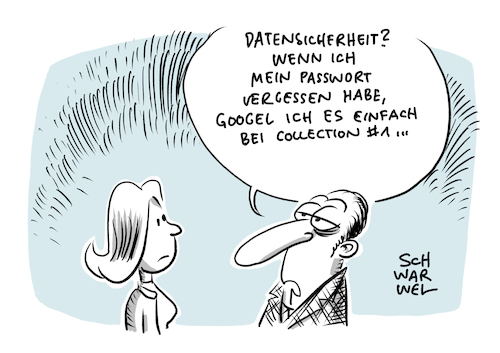 Datensatz Collection im Netz