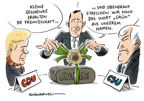 Jamaika Koalition Die Grüne