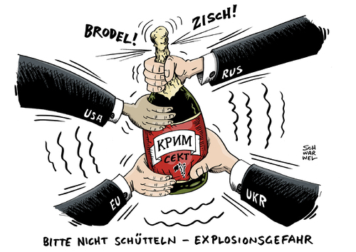 Ukraine Putin Krim Konflikt