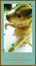 Cartoon: Panduro - unser Familienhund (small) by edda von sinnen tagged haustiere,edda,von,sinnen