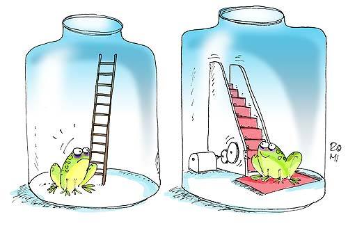 Cartoon: - (medium) by romi tagged frog,animal,shelter,carpet,escalator