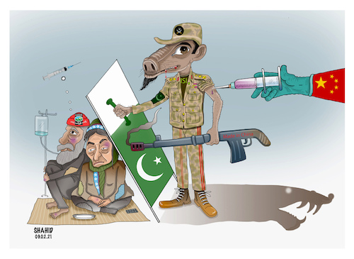 Cartoon: China vaccinates the Pakistan ar (medium) by Shahid Atiq tagged afghanistan