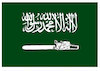 Cartoon: New Saudi flag ! (small) by Shahid Atiq tagged afghanistan balkh helmand kabul london nangarhar attack