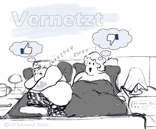 Cartoon: Vernetzt (medium) by heschmand tagged freunde,like,ehe,internet,netz,facebook