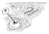 Cartoon: Calysthenics (small) by efbee1000 tagged sharks,calysthenics,island,trap,lost,sea