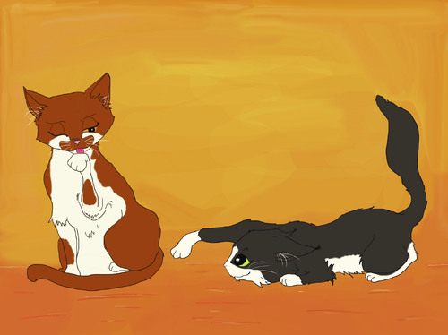 Cartoon: Cleo and Brooke (medium) by Spacekadettin tagged cat,cats,sassy,fun,funny,cute,photoshop,cleo,brooke,entertaining,lurking