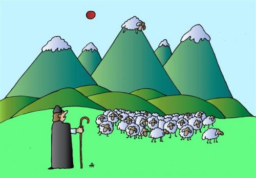 Cartoon: Sheeps (medium) by Alexei Talimonov tagged sheeps