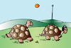 Cartoon: Turtles (small) by Alexei Talimonov tagged turtles