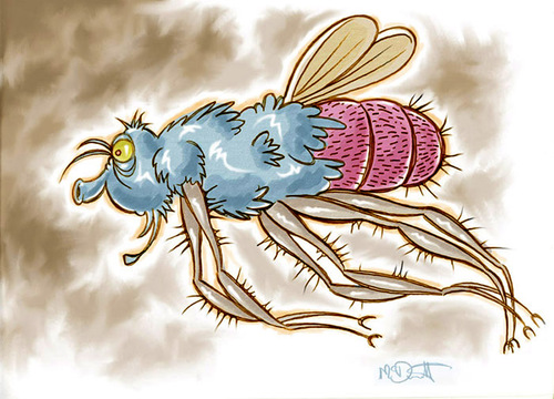 Cartoon: Big Flying Insect (medium) by Cartoons and Illustrations by Jim McDermott tagged bugs,insect