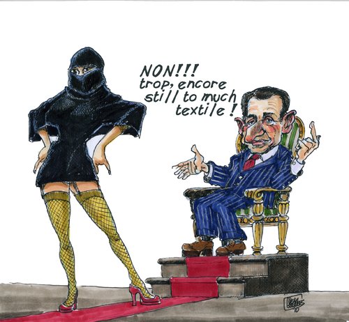 Sarko and burka